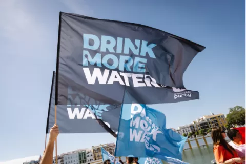 Drink More Water flags